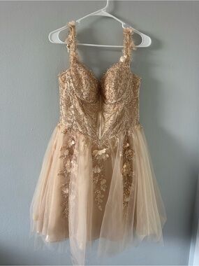 Cinderella Peach-Beaded Tulle Dress